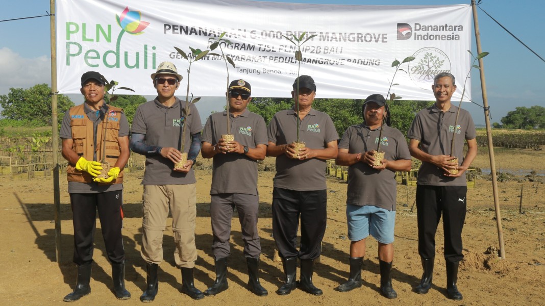 PLN UP2B Jamali Menguatkan Komitmen Lingkungan Dengan Penanaman Pohon Mangrove Bersama Berbagai Pihak Sebagai Tindakan Nyata