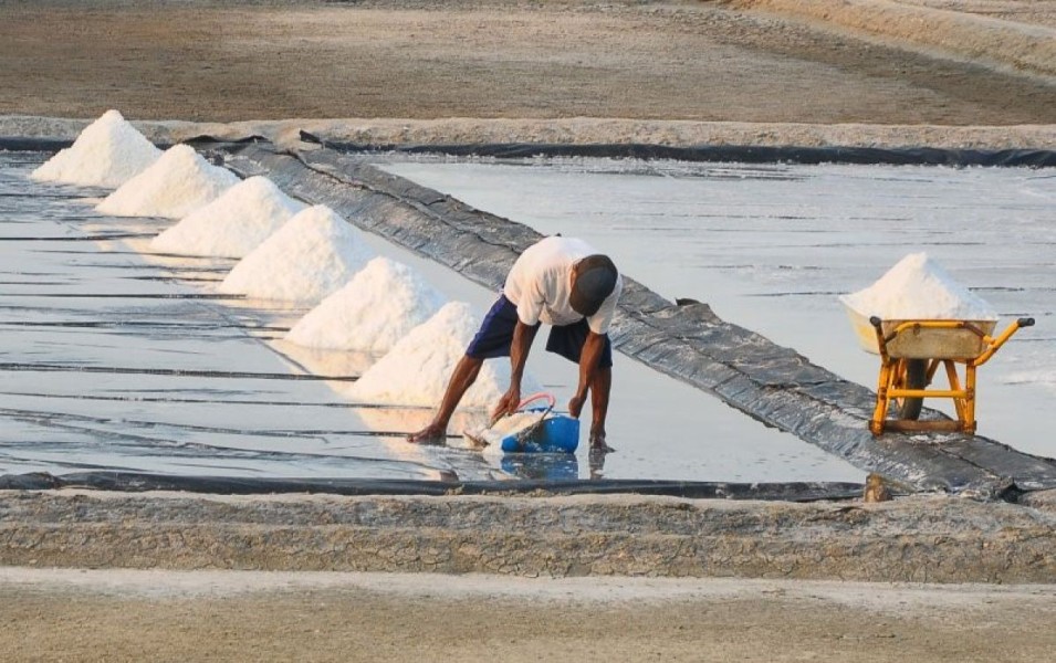 Ketersediaan Garam Industri Vital Untuk Pulp dan Kertas Terjaga