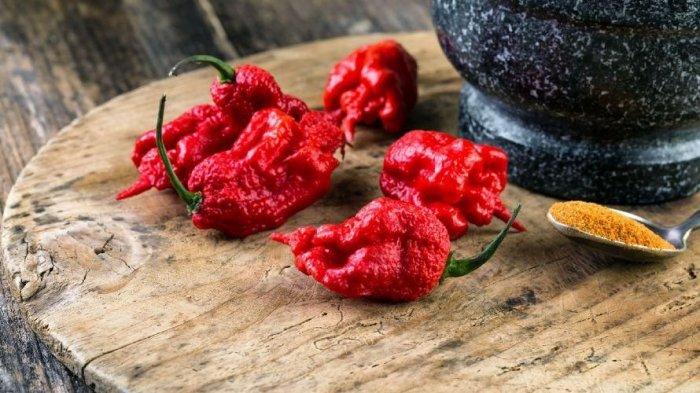 Daftar Cabe Terpedas di Dunia, Nomor 1 Carolina Reaper
