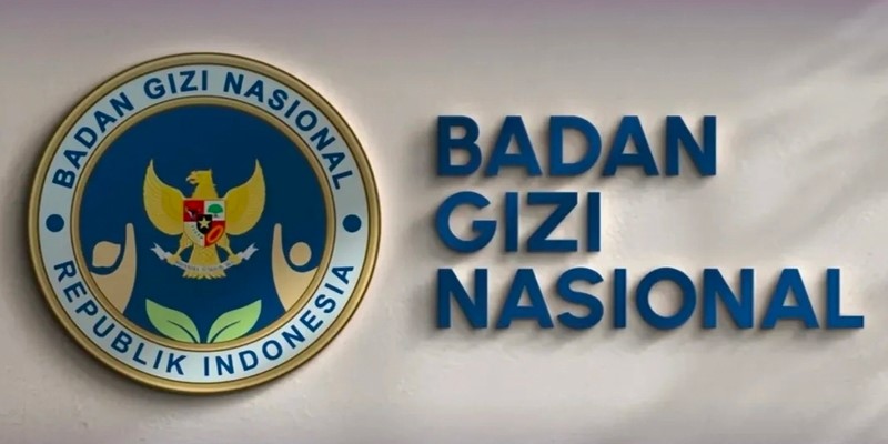 Peluang Karir di Badan Gizi Nasional 2026 Posisi SDM dan IT