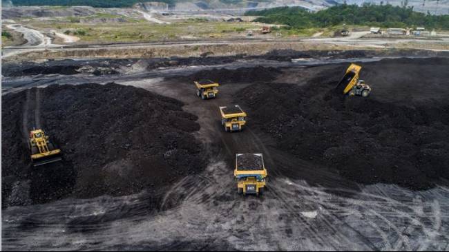 PT Adaro Energy Buka Lowongan Kerja Februari 2026 Untuk Semua Lulusan