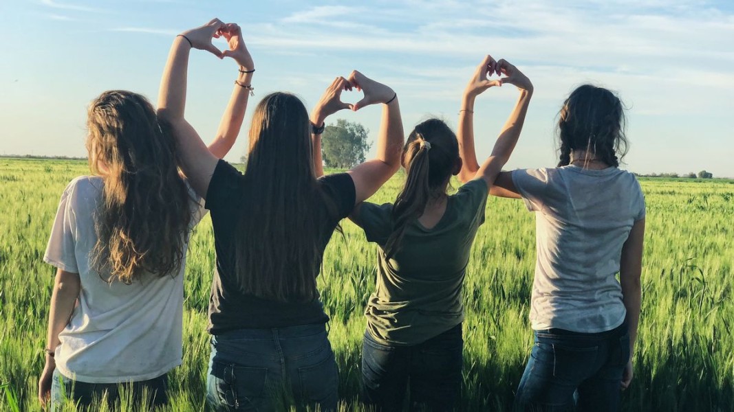 Social Butterfly Adalah: Ciri, Keuntungan, dan Cara Menjadi