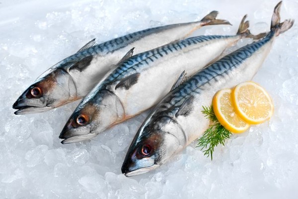 5 Ikan Kaya Vitamin D untuk Tubuh Sehat