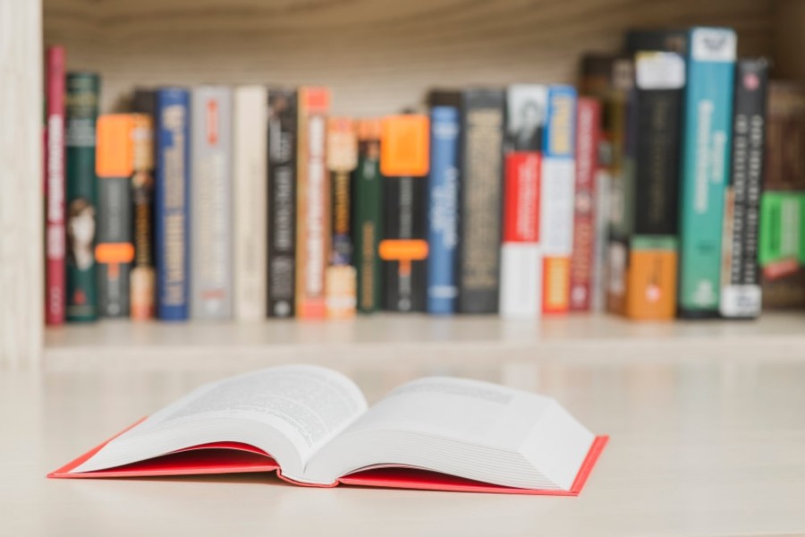 Daftar Macam-Macam Genre Novel Lengkap dengan Contohnya