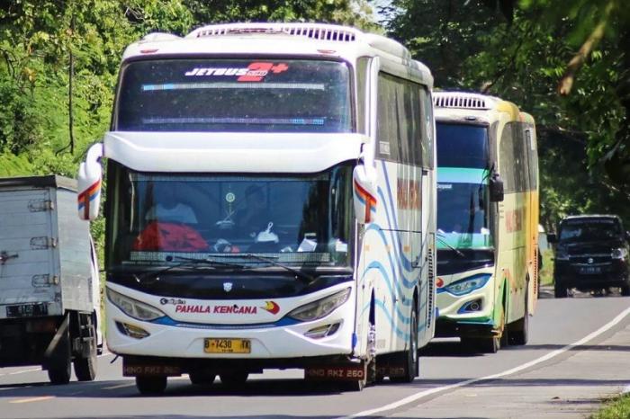 Lonjakan Permintaan Transportasi Wisata dan Shuttle Bus Menjelang Libur Nataru