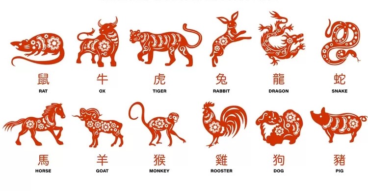 Ramalan Shio 20 Januari 2026 Panduan Lengkap Cinta Karier Nomor Keberuntungan