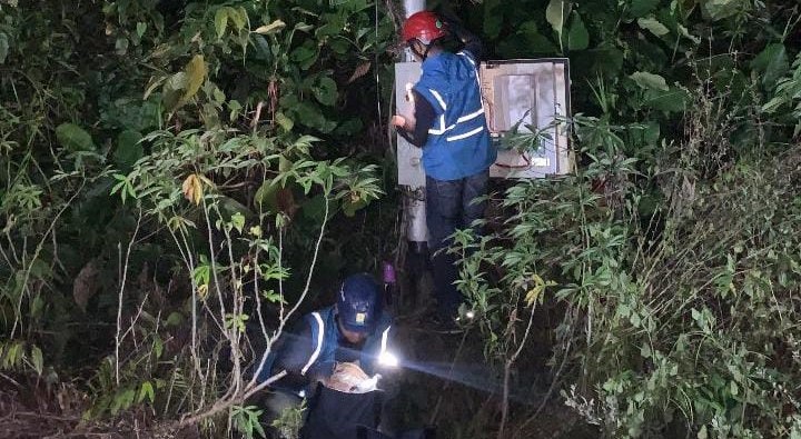 PLN Pastikan Keandalan Listrik Ketapang Lewat Pemeliharaan Jaringan 20 kV