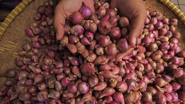 Harga Sembako Jawa Timur Hari Ini Bawang Merah dan Daging Naik
