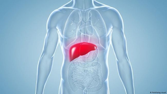 Kombinasi Makanan Alami Penjaga Kesehatan Hati yang Wajib Dicoba Sehari-hari