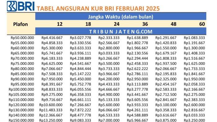 Bank BRI Tawarkan KUR 2025: Pinjaman Fleksibel Rp 15-20 Juta, Syarat Mudah dan Proses Cepat