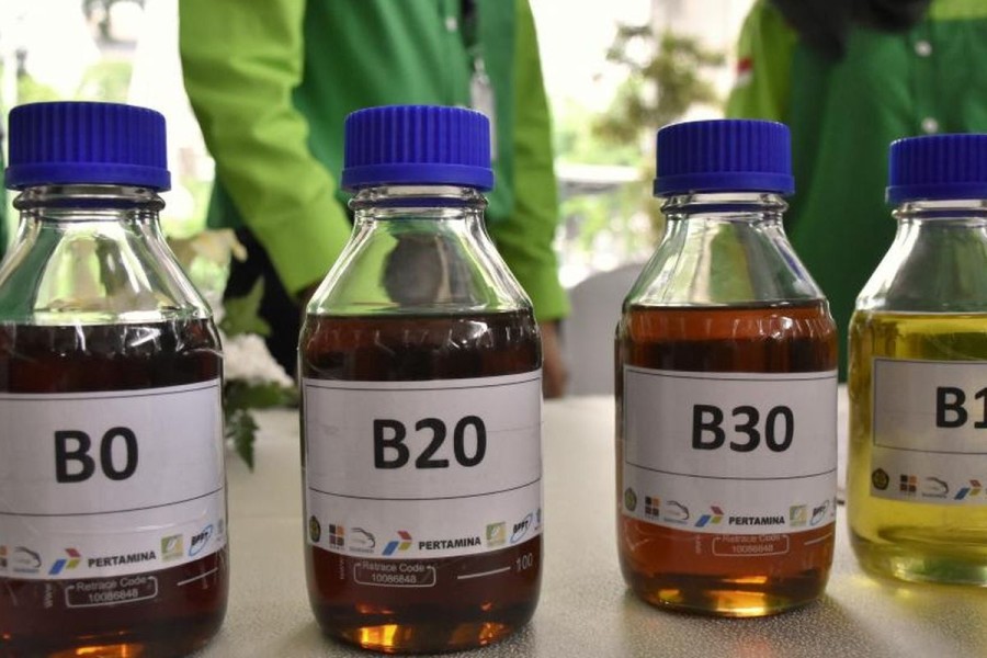 Implementasi Biodiesel B50 Butuh Penguatan Hulu Sawit Nasional