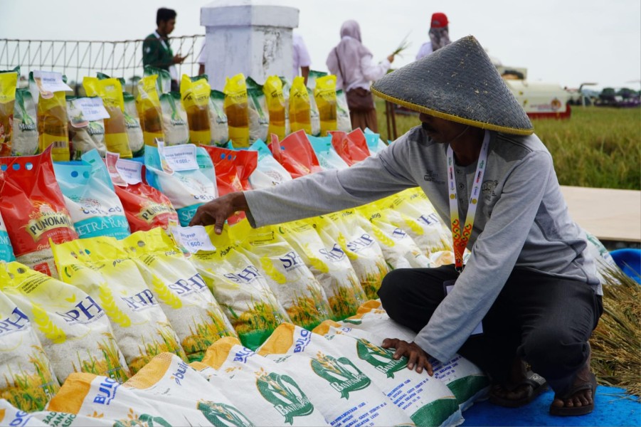 Pemerintah Gulirkan Program Bantuan Pangan Maret 2026 untuk Keluarga Berpenghasilan Rendah