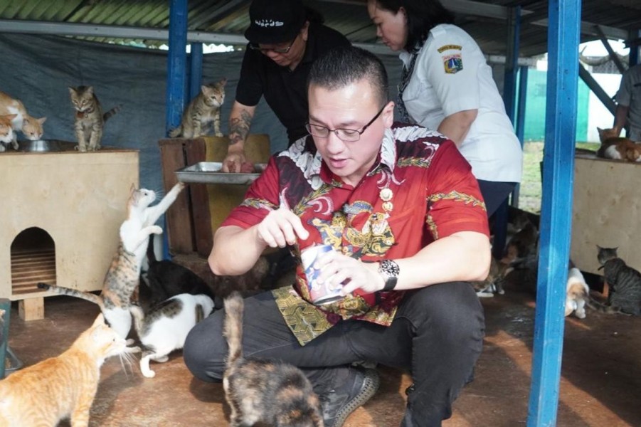 Pemprov DKI Jakarta Gagas Subsidi Kesehatan Hewan, Bukan Program BPJS Ini Penjelasan Lengkapnya