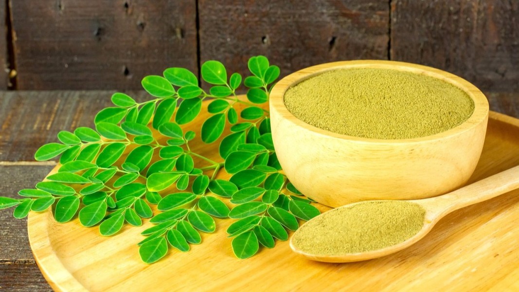 7 Manfaat Bubuk Daun Kelor yang Wajib Dicoba untuk Kesehatan Anda