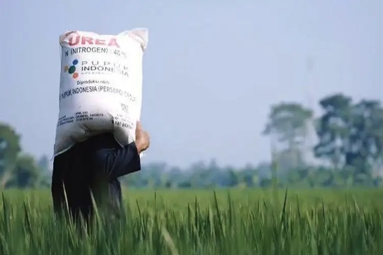 Petani Majalengka Minta Penyaluran Pupuk Subsidi Lebih Mudah