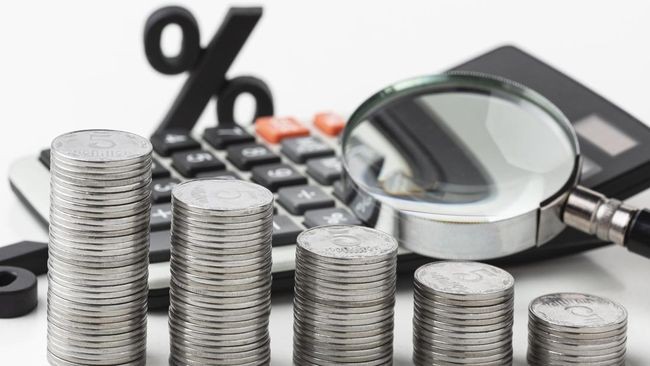 Penerimaan Pajak Awal Tahun Meningkat, PPN dan PPnBM Jadi Penopang