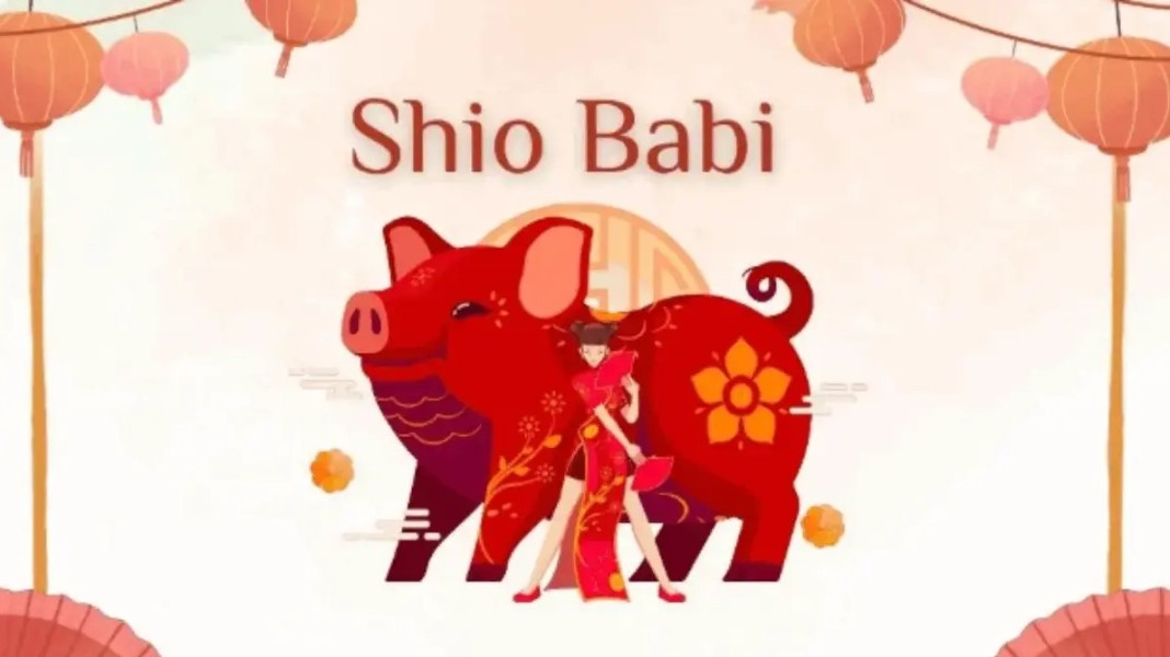 Shio Babi Hari Ini 13 Januari 2026 Berpeluang Mendapat Keuntungan Finansial