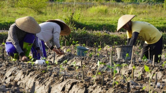 Peran Petani Muda Menggiring Pupuk Organik Jadi Primadona