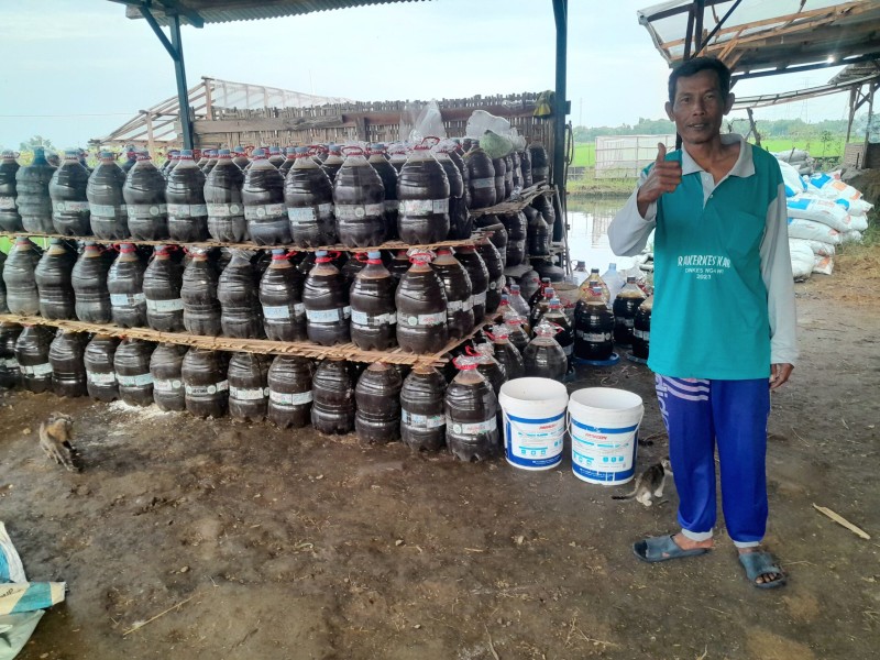 Petani Ngawi Gencarkan Transisi ke Pertanian Organik Demi Pulihkan Kesuburan Tanah