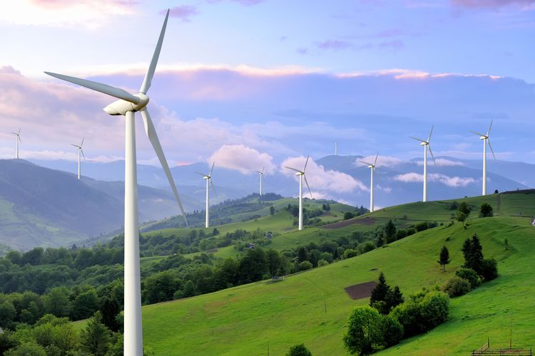 Proyek Energi Hijau RI Makin Gencar, ESDM Yakin Target Dicapai