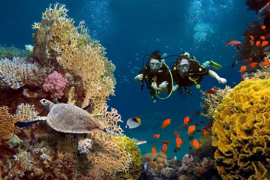 Pesona Bunaken: Surga Laut Indonesia Penuh Keajaiban