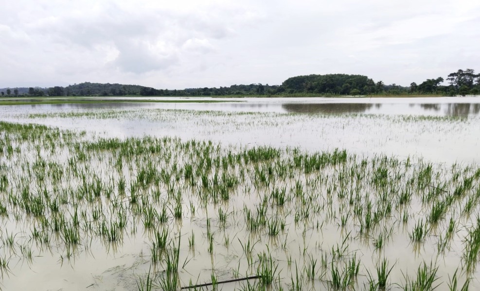 Warga Desa Cisangu Mengadu ke DPRD Lebak, Tuntut Solusi Banjir Akibat Proyek Tol PT WIKA
