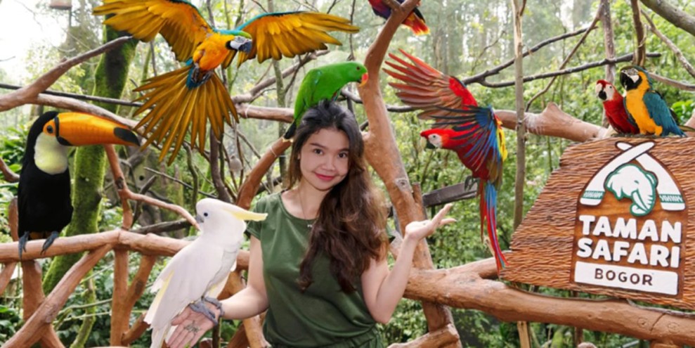 15 Tempat Wisata di Bogor yang Sejuk, Hits dan Instagramable 2025