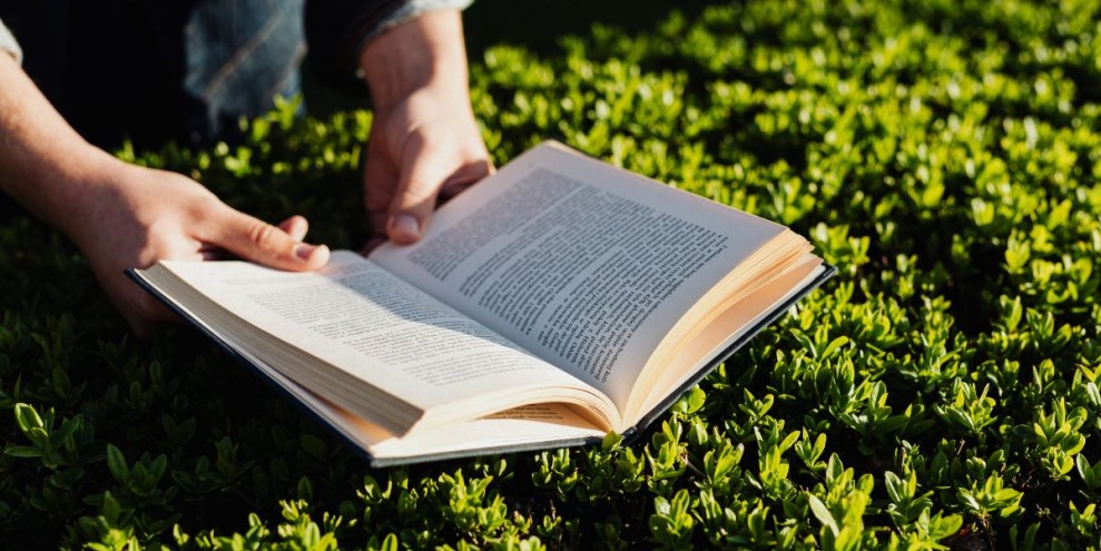 7 Aplikasi Membaca Novel Gratis Tanpa Koin Terbaik 2025